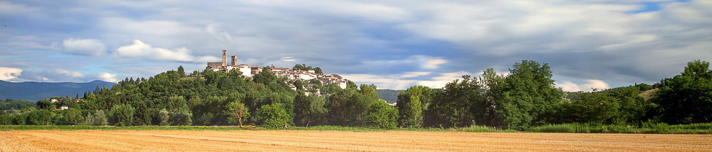 Blick auf den Hügel von Poppi mit Schloss und Kirchturm inmitten grüner Toskana-Landschaft