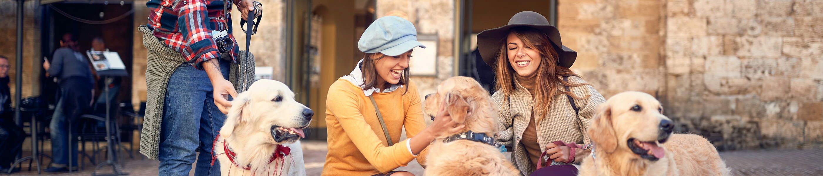 Zwei Frauen spielen lachend mit Golden Retrievern – hundefreundlicher Urlaub in der Toskana