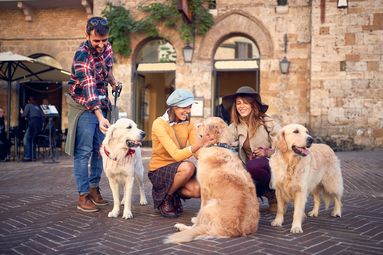 Hundefreundlicher Urlaub in der Toskana – Spaziergang mit Hund durch die hügelige Landschaft.